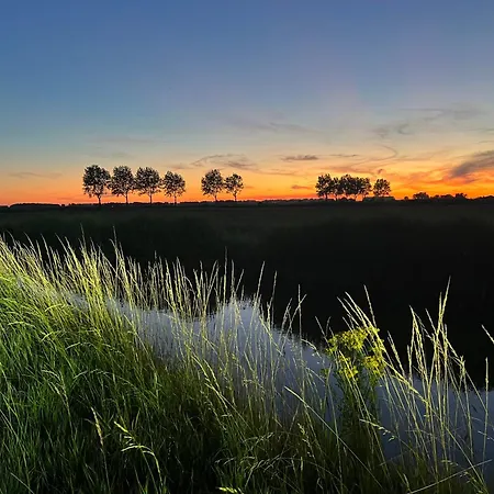 Asio Séjour chez l'habitant