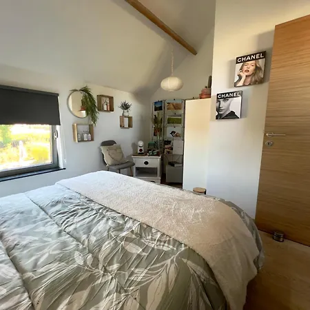 Séjour chez l'habitant Asio