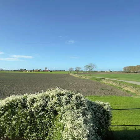 Asio * Middelkerke