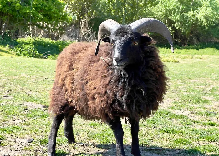 Quarto em Acomodações Particulares Asio *