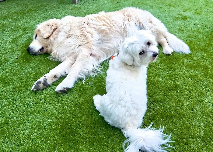 Quarto em Acomodações Particulares Asio *